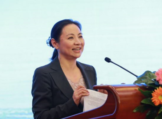 銀隆何以獲得董明珠與王健林等超強(qiáng)陣容30億投資? 銀隆何以獲得董明珠與王健林等超強(qiáng)陣容30億投資?