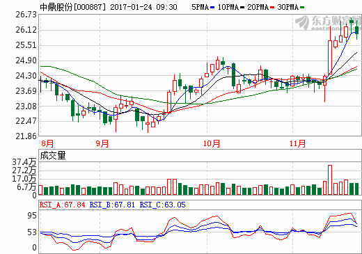 中鼎股份1.85億元再購海外新能源汽車資產(chǎn) 加速融入全球市場步伐