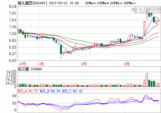 雅化集團 雅化集團