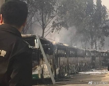 北京蟹島度假村停車場突發(fā)大火 