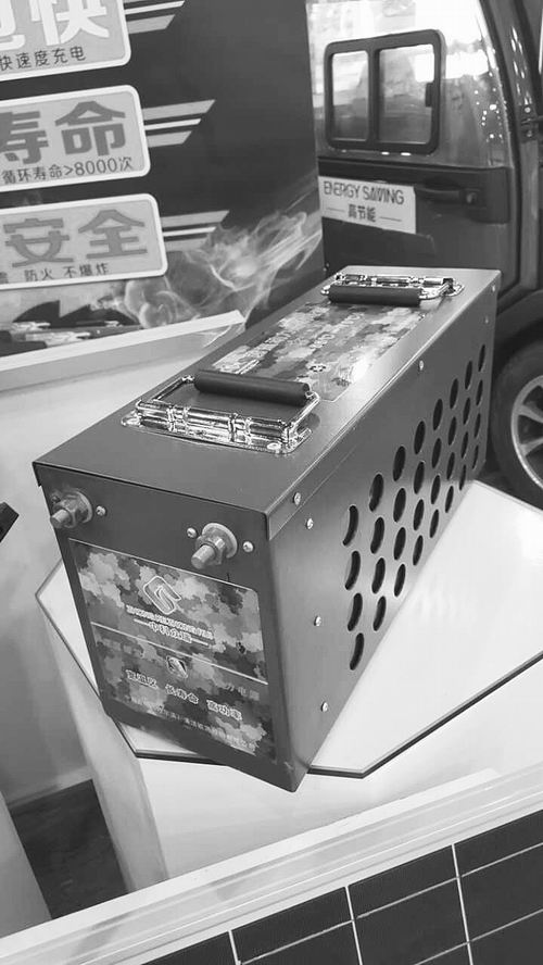 極溫鎳氫動(dòng)力電池