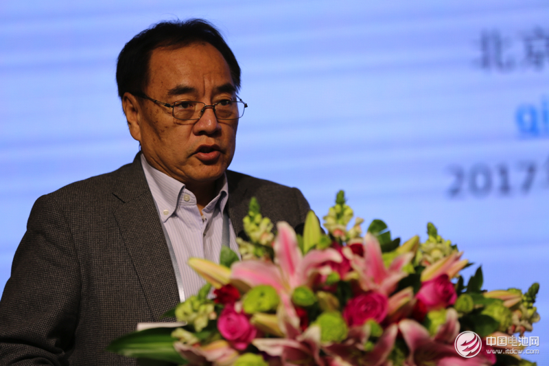 北京大學(xué)教授、鋰電“達(dá)沃斯”學(xué)委會(huì)主席其魯 北京大學(xué)教授、鋰電“達(dá)沃斯”學(xué)委會(huì)主席其魯