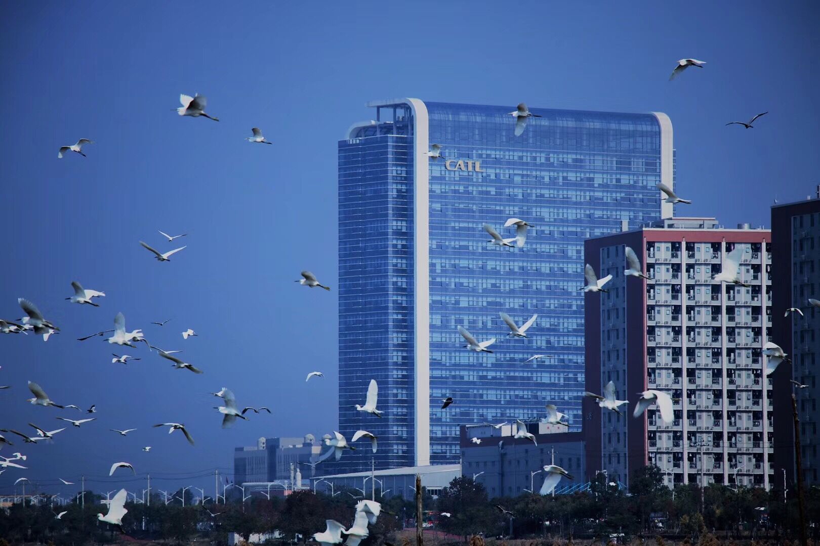 CATL CATL