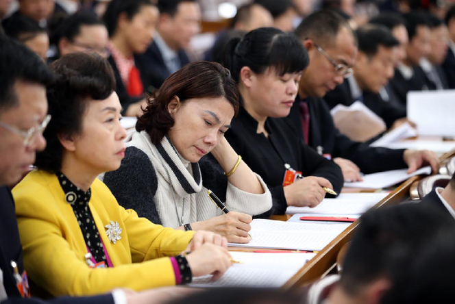 董明珠：加快推進光伏直驅技術政策標準制定