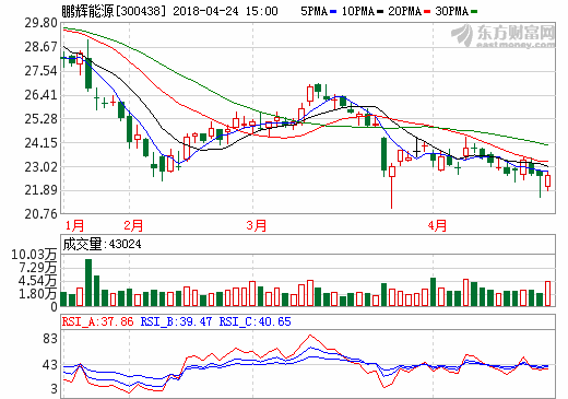 鵬輝能源 鵬輝能源