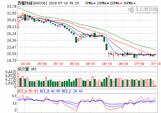 西藏珠峰：逐夢新能源 邁向大型跨國礦業集團