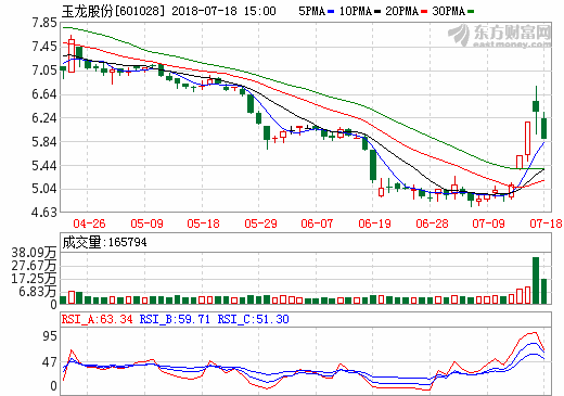 玉龍股份 玉龍股份