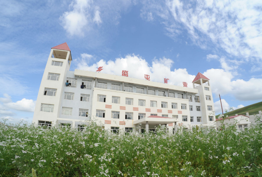 盛屯礦業(yè) 盛屯礦業(yè)