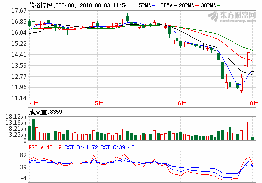 藏格控股 藏格控股