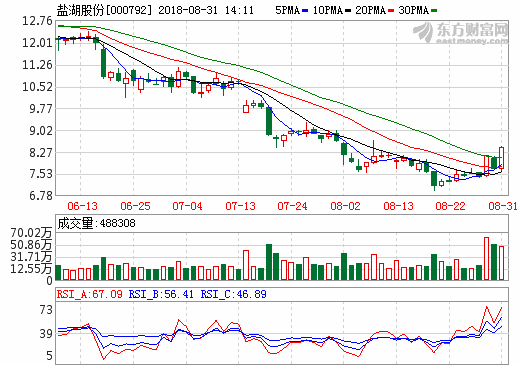 鹽湖股份 鹽湖股份