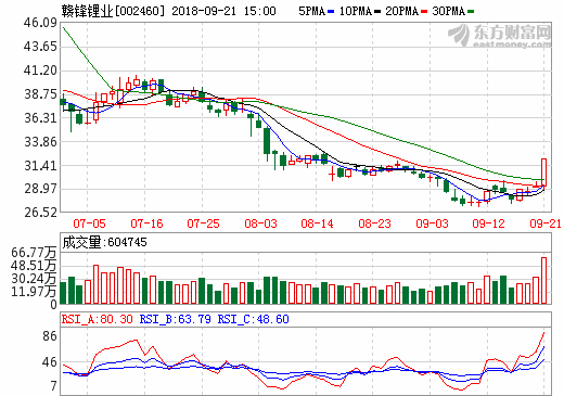 贛鋒鋰業 贛鋒鋰業