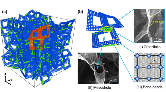含有本質(zhì)孔與鉸鏈鍵的孔片拓撲網(wǎng)絡(luò)模型，其中，b-I,II是與SEM鏡像的對照圖