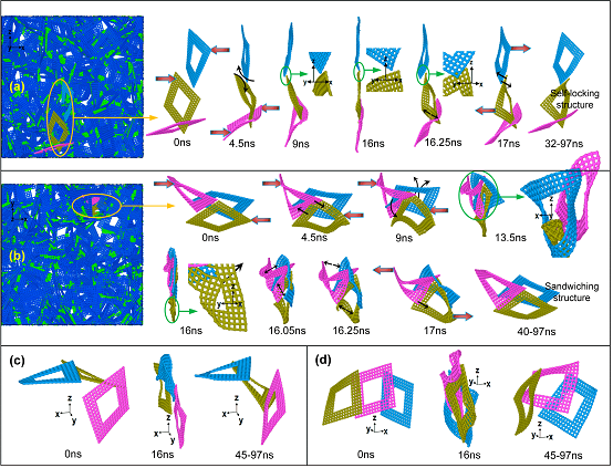 超壓縮與回復(fù)過程中，局部微結(jié)構(gòu)動力學(xué)演化細節(jié)及其蘊含的介觀機械互鎖現(xiàn)象