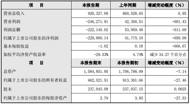 大洋電機2018年度主要財務數據和指標（單位：萬元）