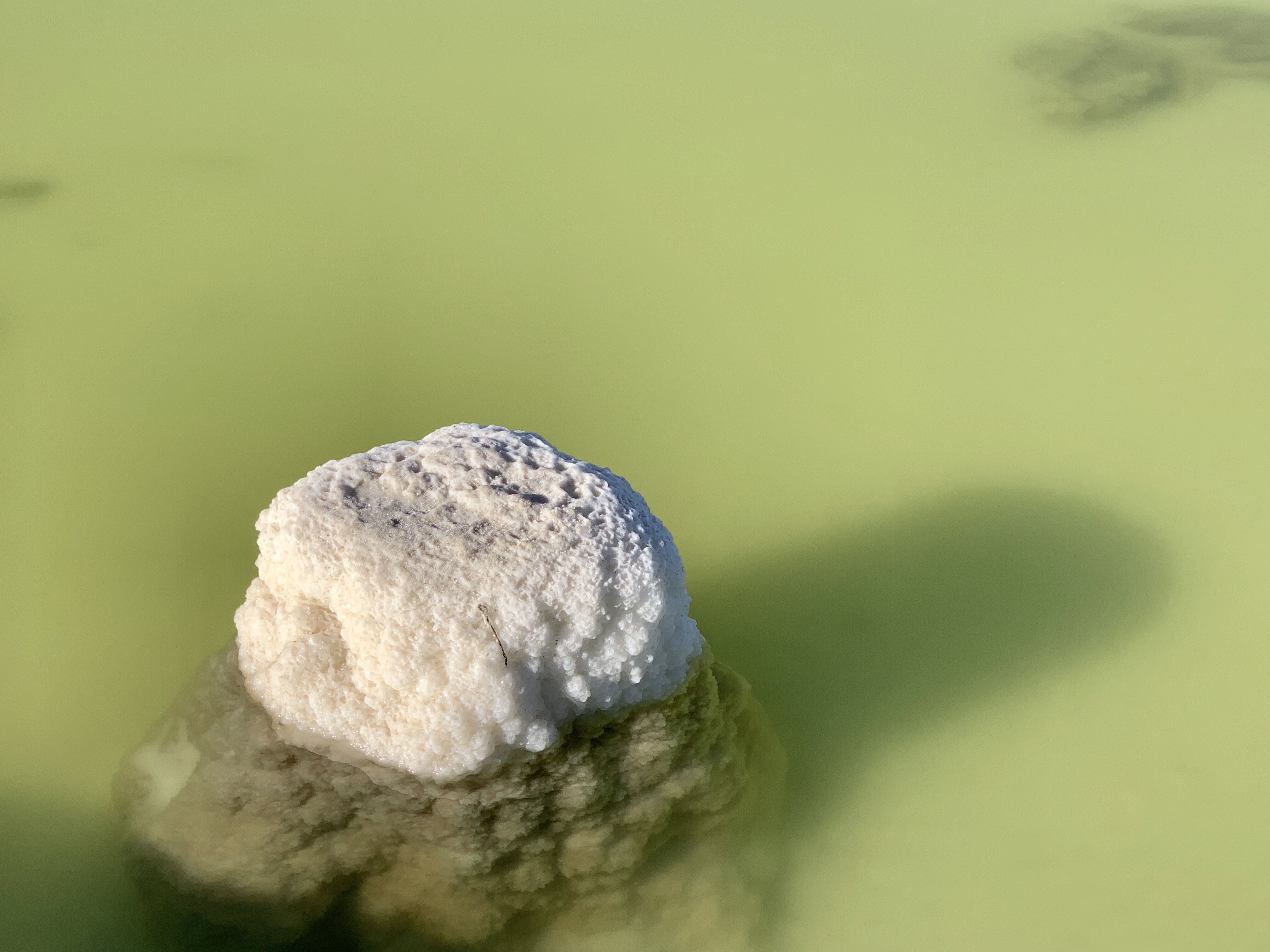 供需格局變化 新能源金屬鈷、鋰跌落神壇 供需格局變化 新能源金屬鈷、鋰跌落神壇