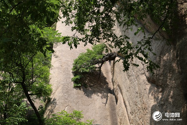電池百人會“問道”嵖岈山與會嘉賓參觀游覽嵖岈山 探尋新能源發展“真經”
