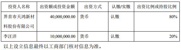 公司及各投資人、股東的投資規(guī)模、方式和持股比例