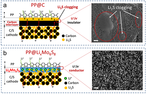 圖4. PP@LixMo6S8功能隔膜與涂覆碳PP@C隔膜對比圖 圖4. PP@LixMo6S8功能隔膜與涂覆碳PP@C隔膜對比圖