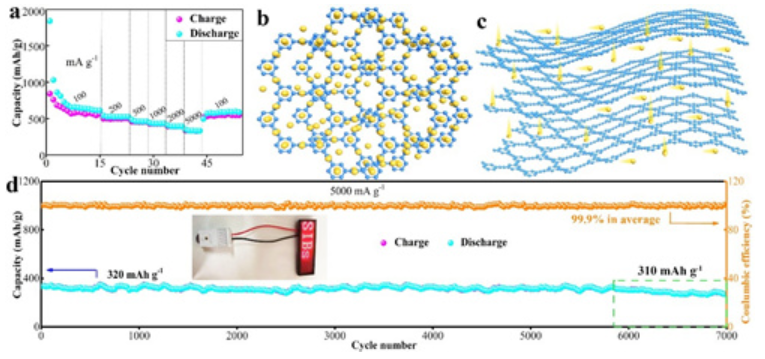 HsGY及其電化學性能 HsGY及其電化學性能