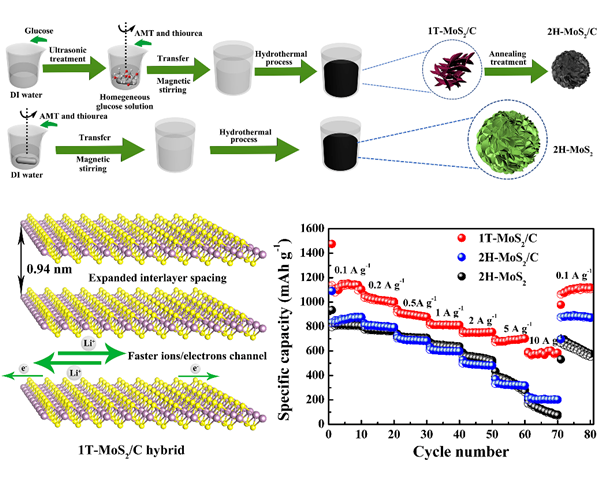 圖3. 1T-MoS2/C復合材料的合成過程、反應機制示意圖及倍率性能。