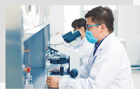 贛鋒鋰業 贛鋒鋰業