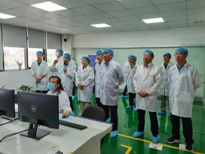 甘肅金昌市委書(shū)記張永霞率隊(duì)考察鋰電銅箔龍頭諾德股份