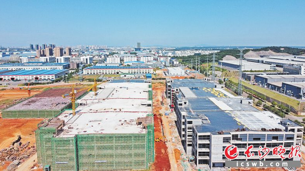 比亞迪寧鄉動力電池生產基地項目主要生產廠房4號棟和5號棟均已封頂