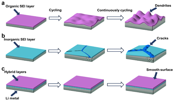 圖1.金屬鋰表面SEI層的結(jié)構(gòu)示意圖 圖1.金屬鋰表面SEI層的結(jié)構(gòu)示意圖
