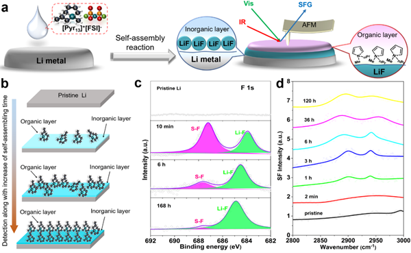 圖2.有序結(jié)構(gòu)SAHL-Li的自組裝演化過(guò)程及其界面有機(jī)、無(wú)機(jī)層的表征 圖2.有序結(jié)構(gòu)SAHL-Li的自組裝演化過(guò)程及其界面有機(jī)、無(wú)機(jī)層的表征