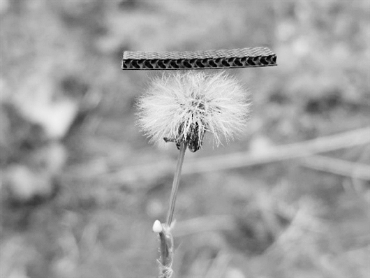 電極材料機械性能展示 電極材料機械性能展示