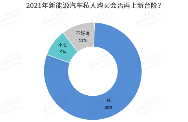 2021新能源車私人消費將繼續提升 新勢力車企備受期待 2021新能源車私人消費將繼續提升 新勢力車企備受期待