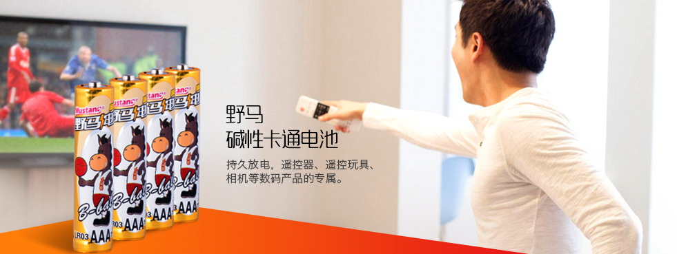 野馬電池 野馬電池