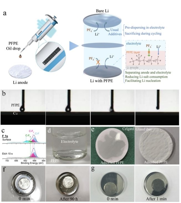 上海硅酸鹽所提出鋰金屬電池負極非消耗型氟化流體界面調控策略