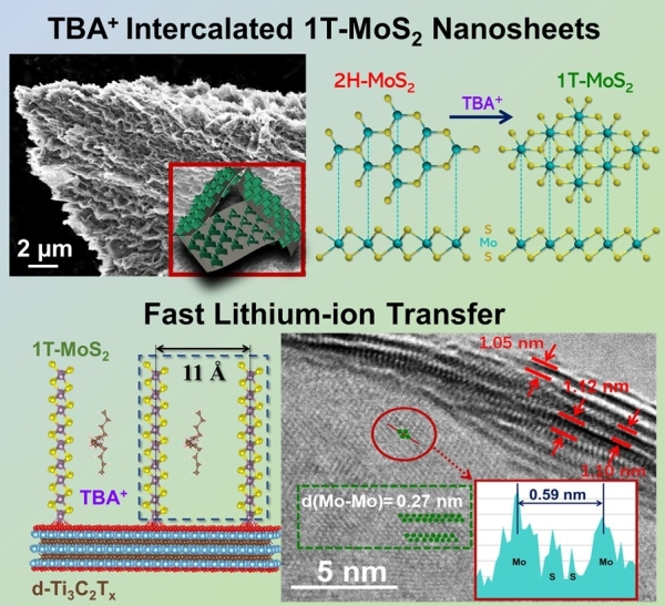 1T-MoS2/d-Ti3C2Tx二維復合納米材料結構示意圖 1T-MoS2/d-Ti3C2Tx二維復合納米材料結構示意圖
