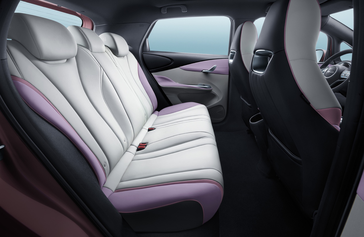 新能源汽車,比亞迪海豚,比亞迪 新能源汽車,比亞迪海豚,比亞迪