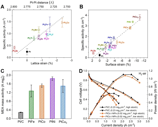 圖5. （A、B）IMCs電催化氧還原本征活性與表面壓縮應(yīng)變呈現(xiàn)強關(guān)聯(lián)性；（C）IMCs催化劑氫氧燃料電池質(zhì)量活性（0.9 V）；（D）IMCs和商業(yè)Pt/C催化劑氫空燃料電池性能對比（IMCs催化劑Pt用量比Pt/C低10倍以上）