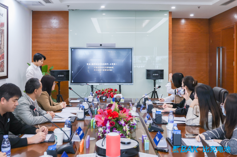 比克電池 比克電池