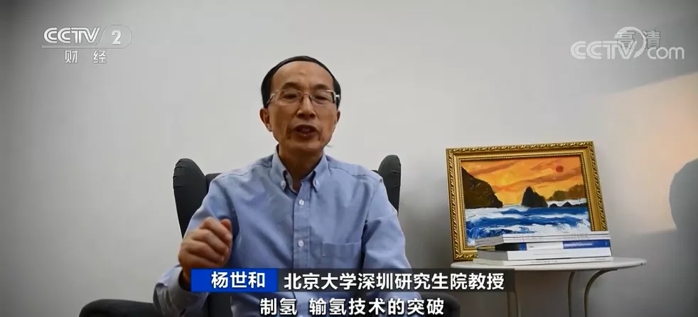 北京大學深圳研究生院教授 楊世和