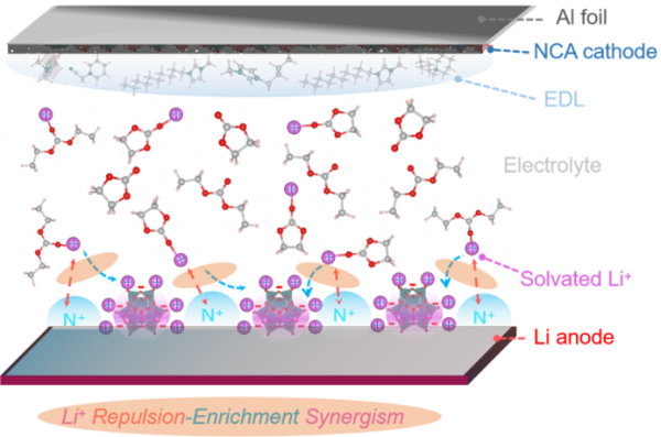 上海硅酸鹽所鋰金屬電池雙功能電解液設計研究獲進展 上海硅酸鹽所鋰金屬電池雙功能電解液設計研究獲進展