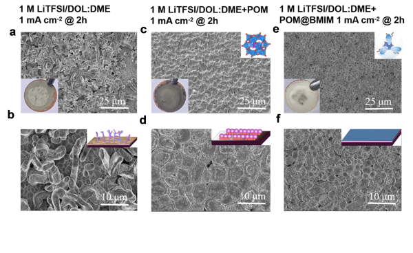 上海硅酸鹽所鋰金屬電池雙功能電解液設計研究獲進展