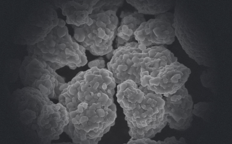 圖/容百科技官網(wǎng)