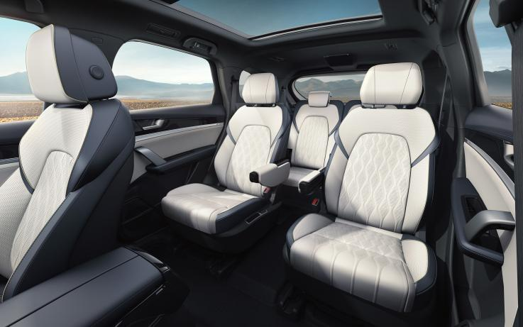 新能源汽車,電動汽車,比亞迪