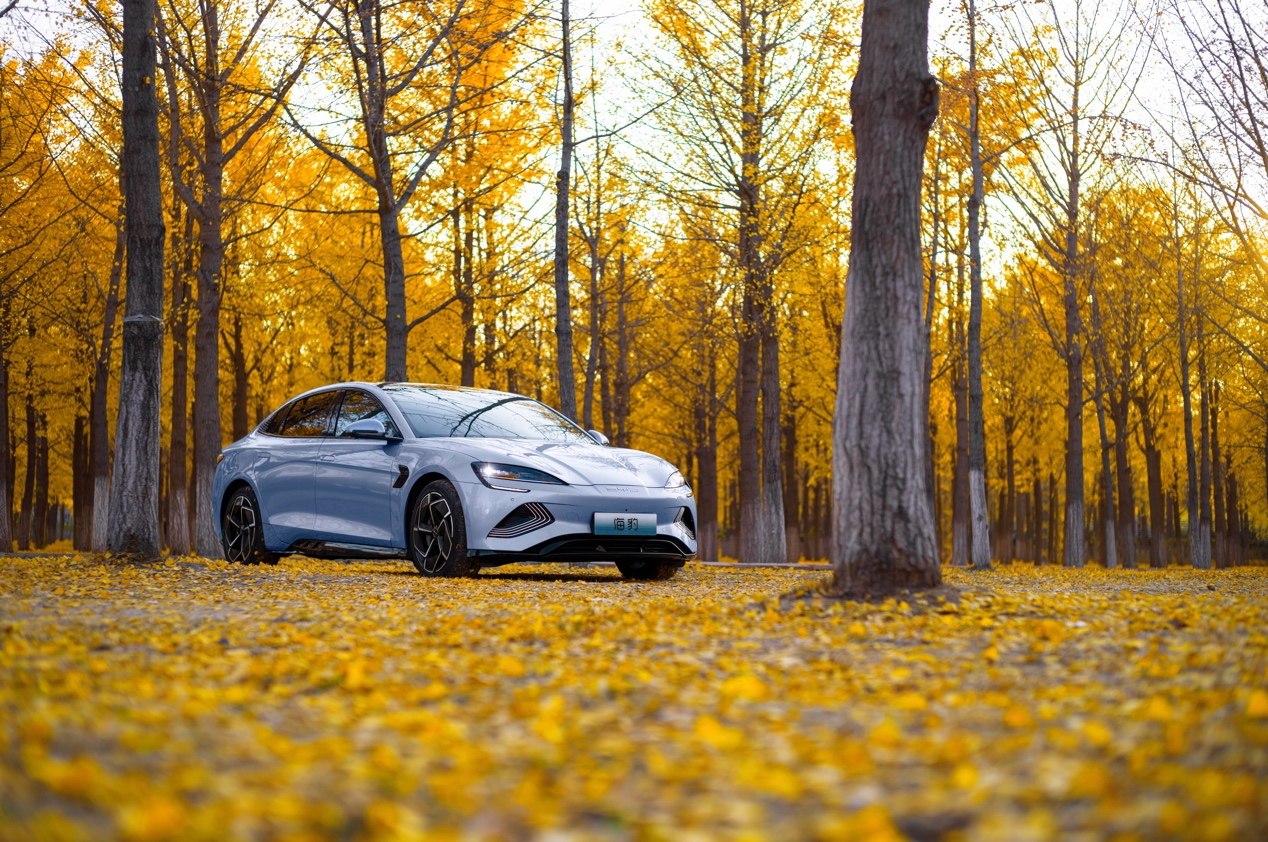 新能源汽車,電動(dòng)汽車,比亞迪,海豹 新能源汽車,電動(dòng)汽車,比亞迪,海豹