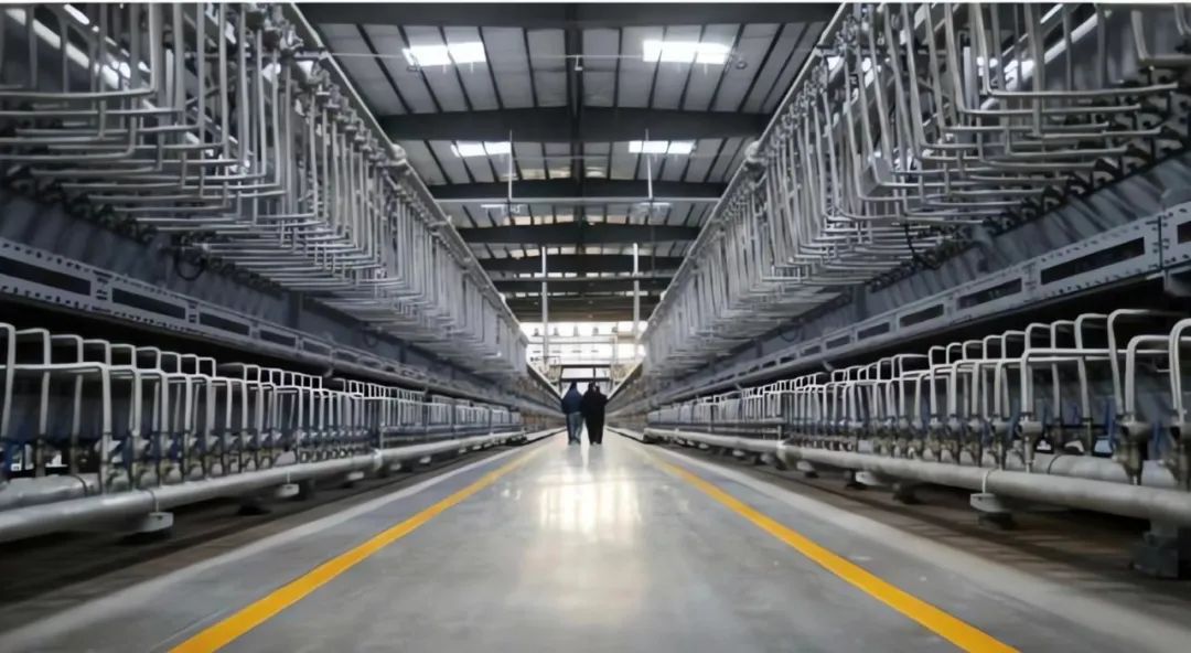 圖片來源:豐元股份 圖片來源:豐元股份