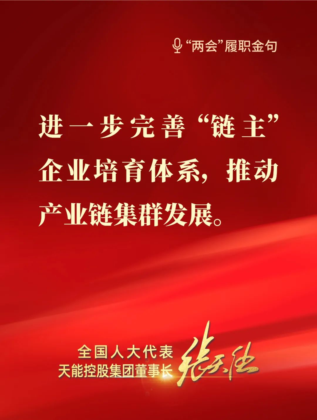 全國人大代表,天能控股集團董事長張天任 全國人大代表,天能控股集團董事長張天任