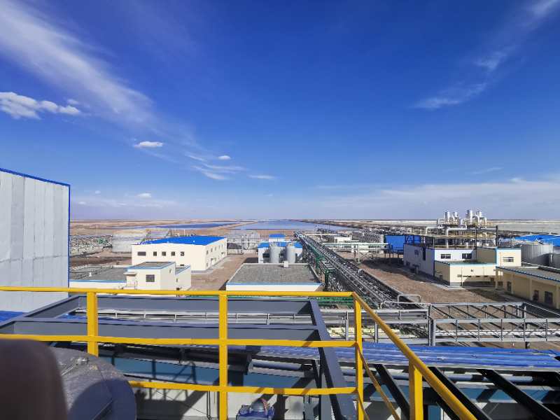 藏格礦業(yè) 藏格礦業(yè)