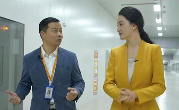 蜂巢能源,鋰電池,動力電池 蜂巢能源,鋰電池,動力電池