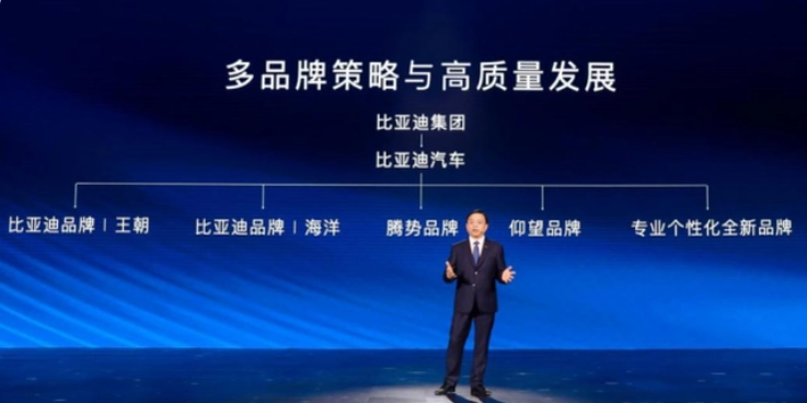 比亞迪,新能源汽車,電動(dòng)汽車