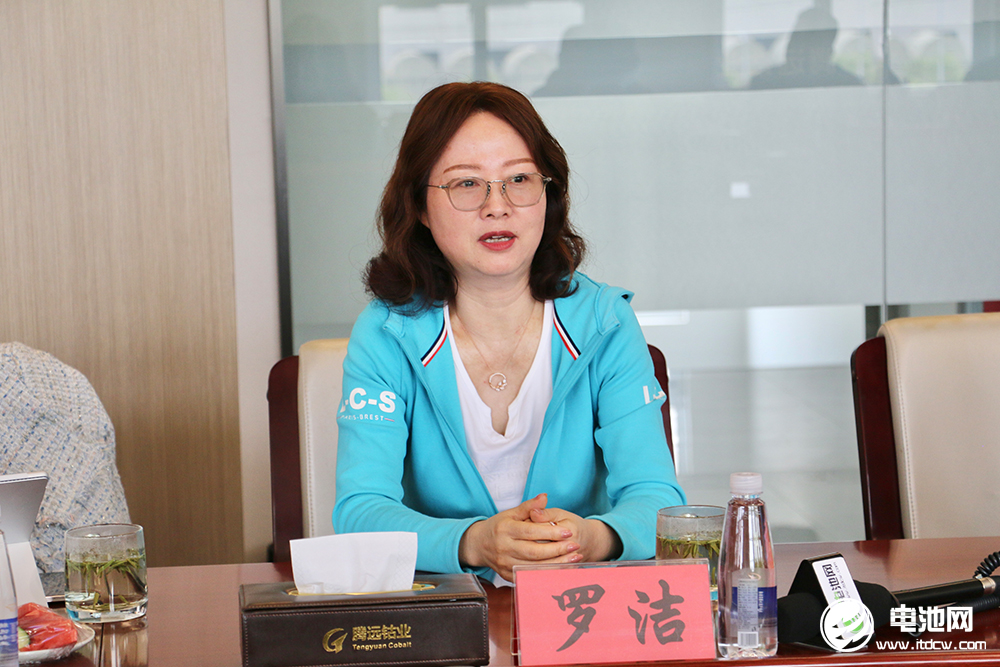 中國電池新能源產(chǎn)業(yè)鏈調(diào)研團一行參觀考察騰遠鈷業(yè)