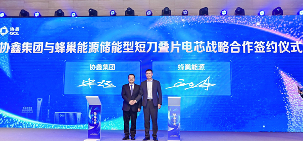 蜂巢能源 蜂巢能源